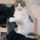 뚜루