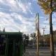 bubble