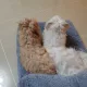 연동맘