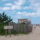 규니