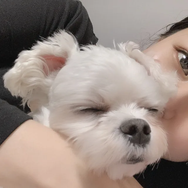 현디