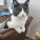 혀니로그