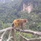 육가대표