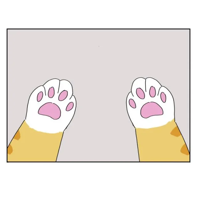김애용