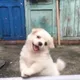 낙낙낙