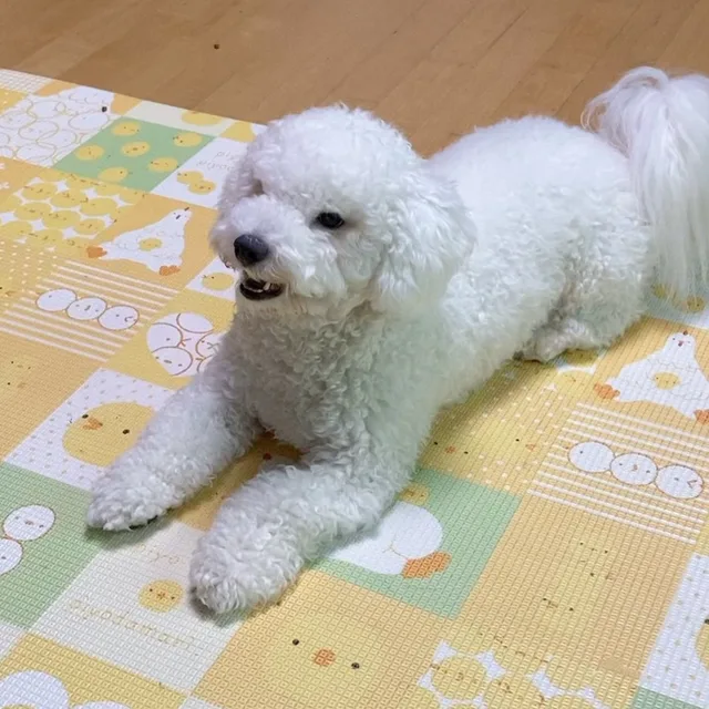 란테르트