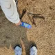 딸기농장
