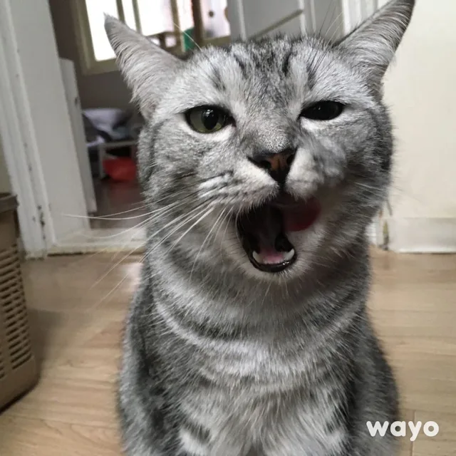 드릴