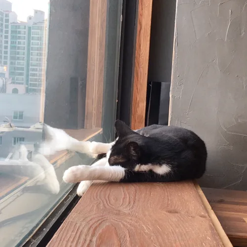 은은하리
