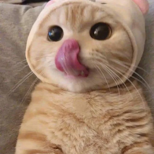 시바로푸스키