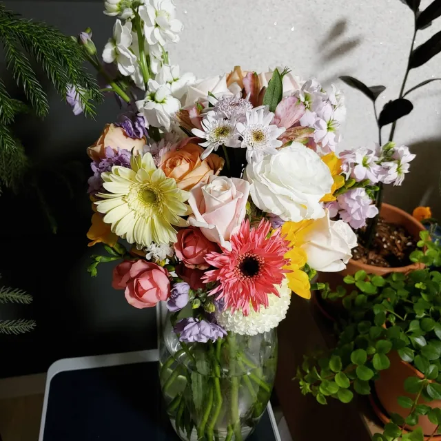푸릇푸릇