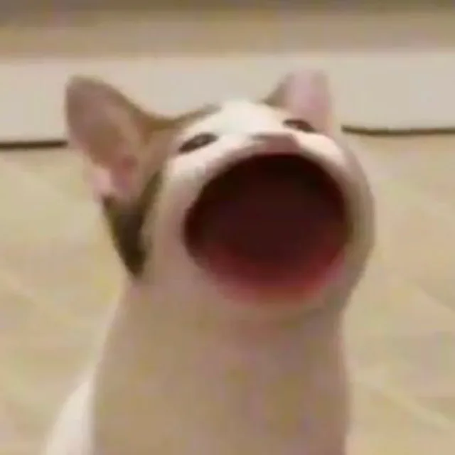 구구국