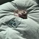 맹맹