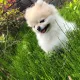 스포츠포레츠