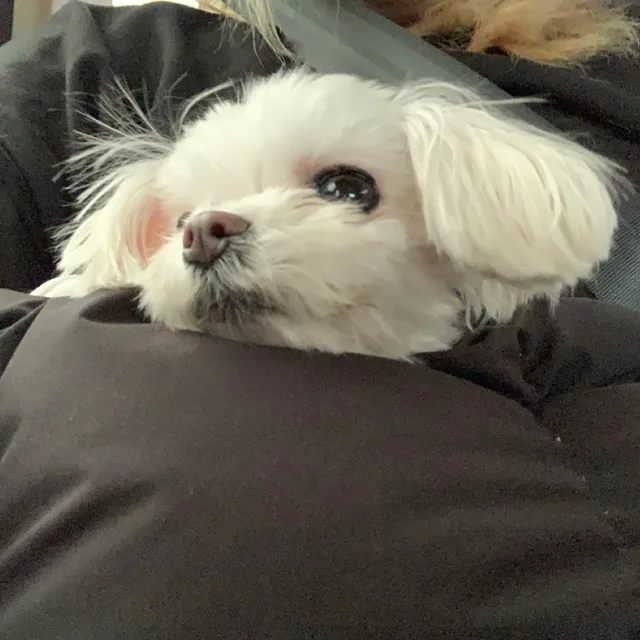 김버터
