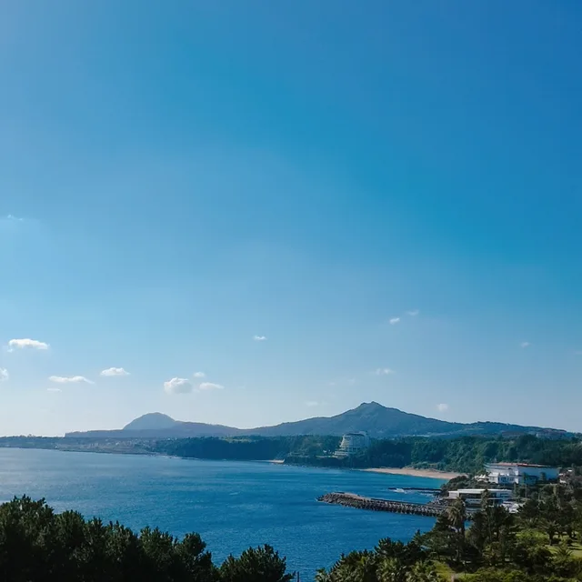 영국귀부인
