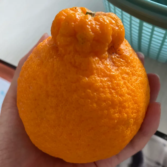 코피