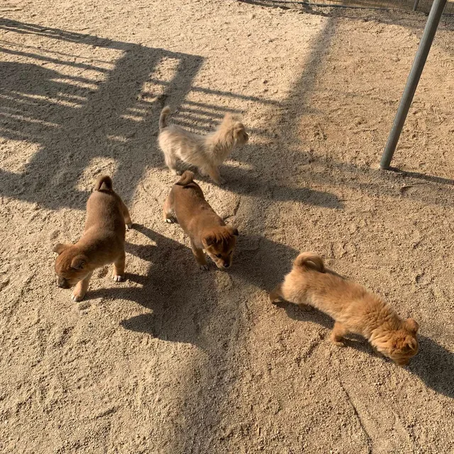 혀니뀨