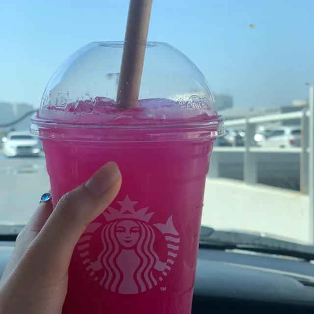 딱콩비