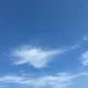 개미엄마