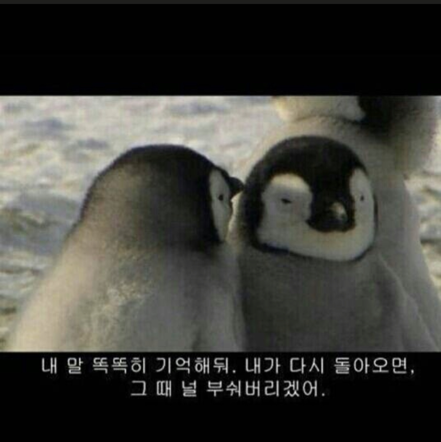 선샤인