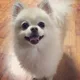 모찌맘