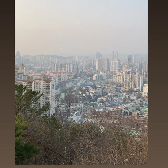 메리봉봉