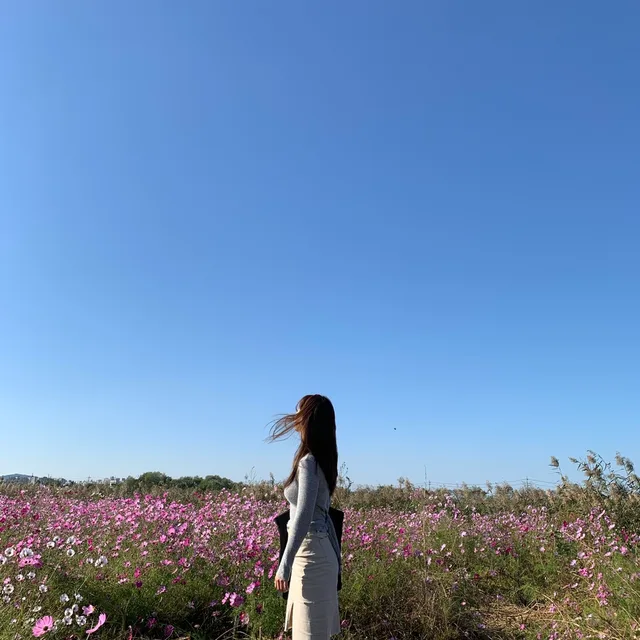 미니2