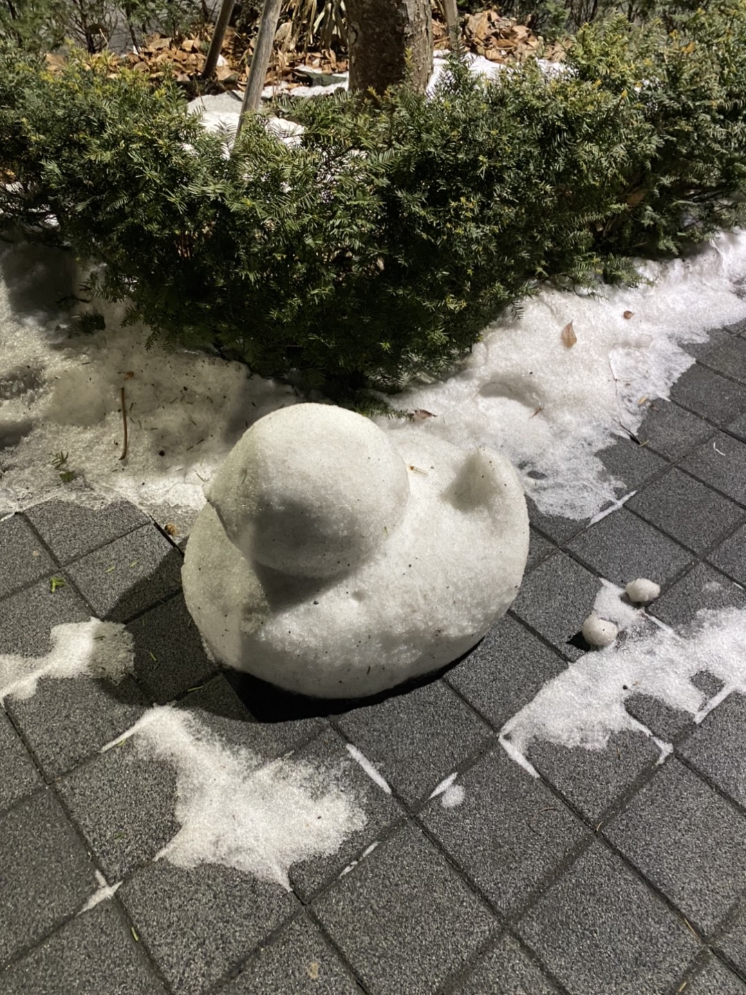라라