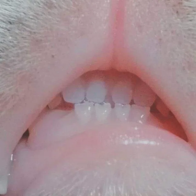 하쿠묭