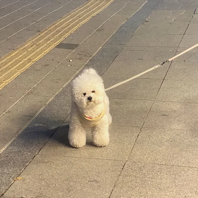 뭉뭉