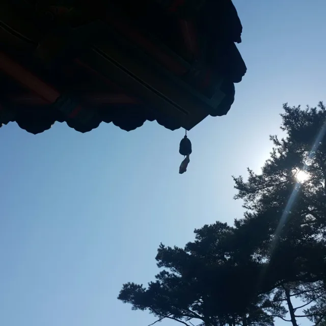 꿀복이어뭉