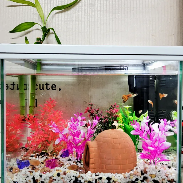 바닐라라떼