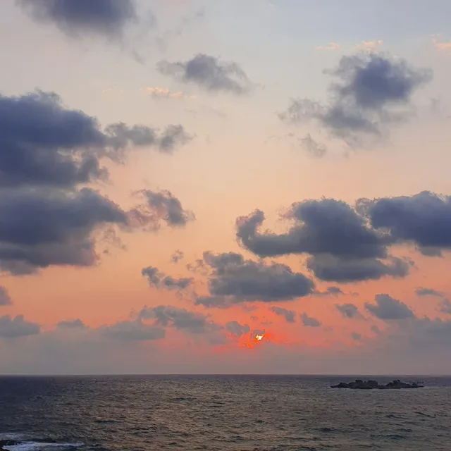 몸짱맘짱