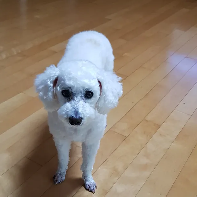 산소마을