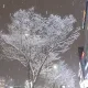 공대생