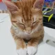 하영엄마