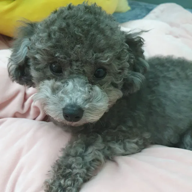 날마다행복