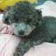 날마다행복