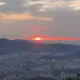 둥이파파