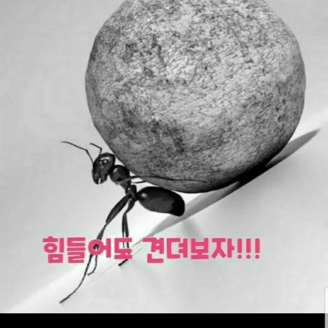 청주당근사랑
