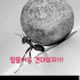 다시시작