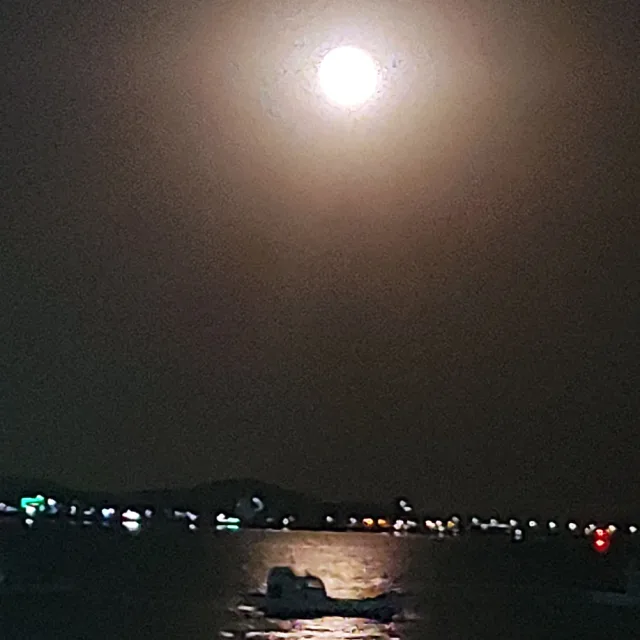 공도스타