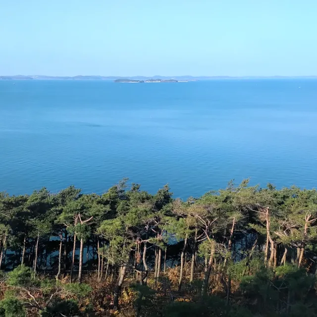 구구