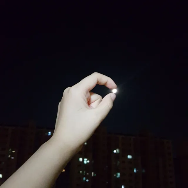 숲에여름비