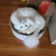 윤지맘