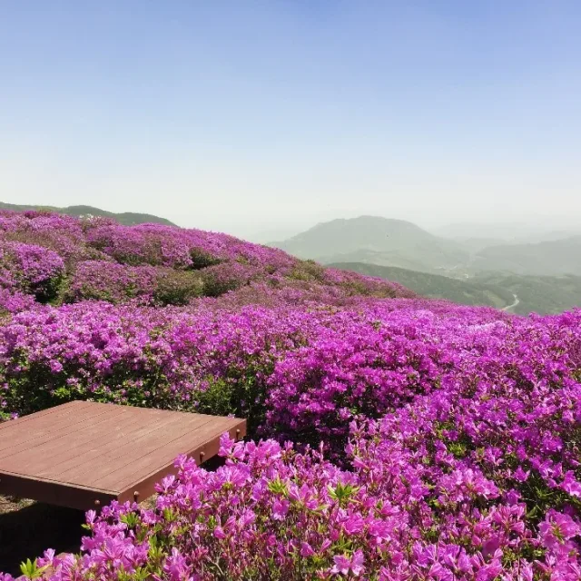 주말청소
