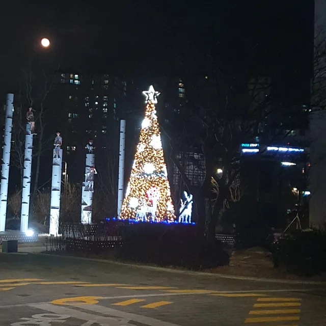 재굴이
