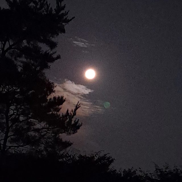 Hankang프로필 사진