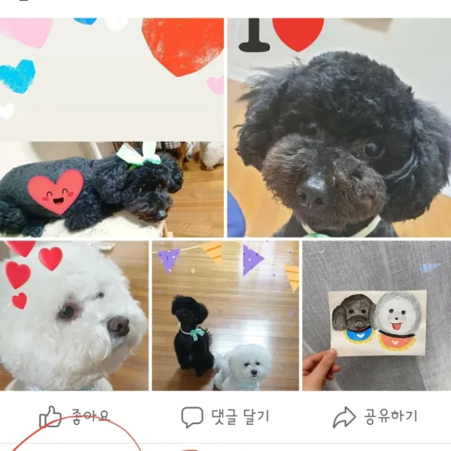 만두까미